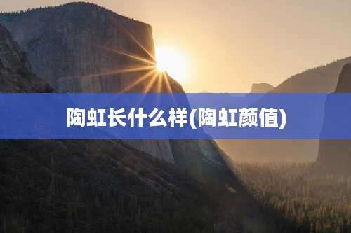 陶虹长什么样(陶虹颜值)