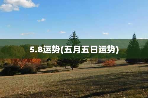 5.8运势(五月五日运势)