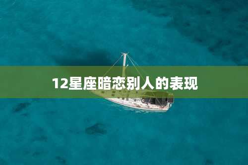 12星座暗恋别人的表现
