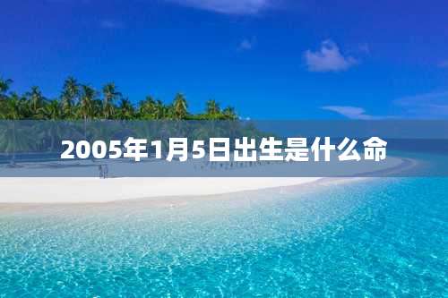2005年1月5日出生是什么命