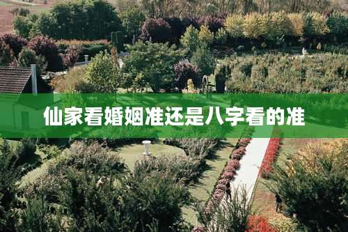 仙家看婚姻准还是八字看的准