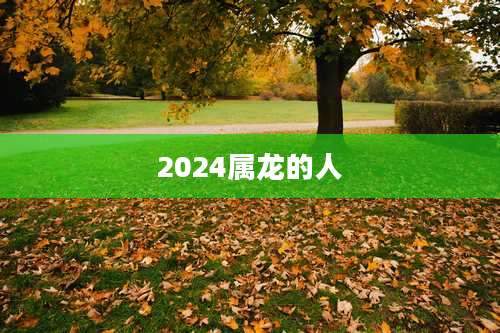 2024属龙的人