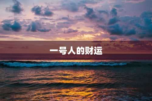 一号人的财运