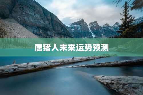 属猪人未来运势预测