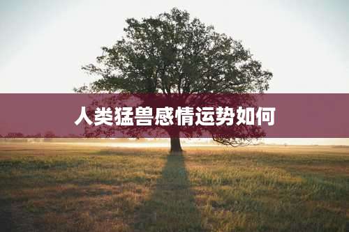 人类猛兽感情运势如何