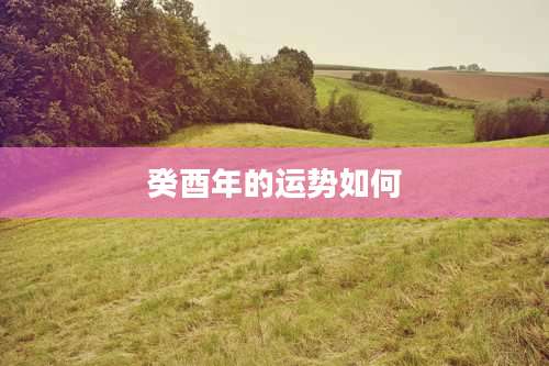 癸酉年的运势如何