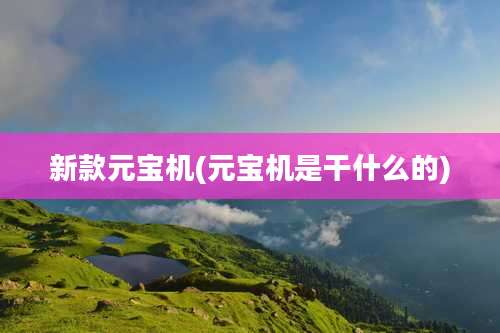 新款元宝机(元宝机是干什么的)