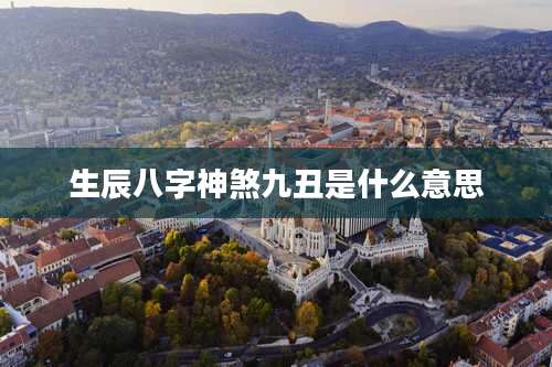 生辰八字神煞九丑是什么意思