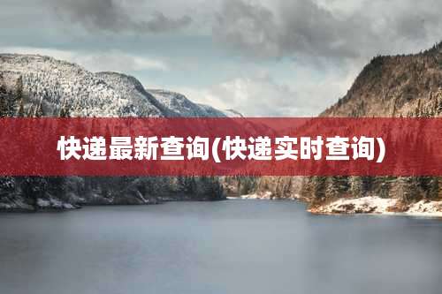 快递最新查询(快递实时查询)