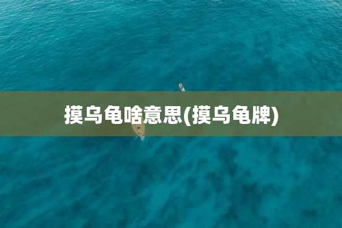 摸乌龟啥意思(摸乌龟牌)