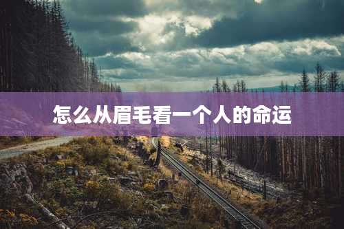 怎么从眉毛看一个人的命运
