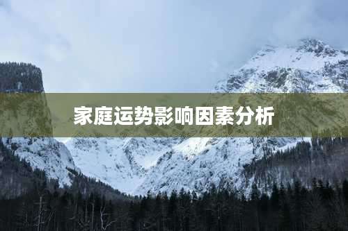 家庭运势影响因素分析