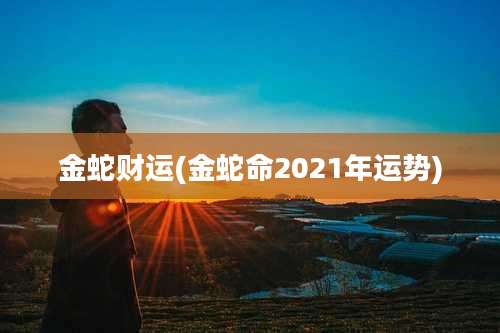 金蛇财运(金蛇命2021年运势)