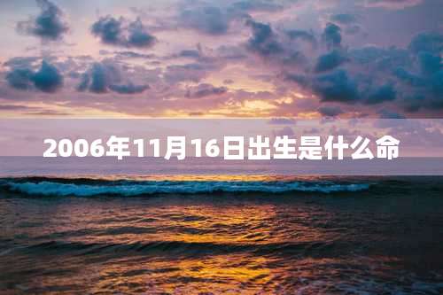 2006年11月16日出生是什么命