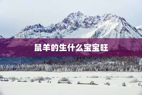 鼠羊的生什么宝宝旺