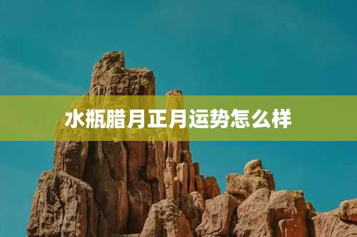 水瓶腊月正月运势怎么样