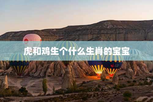 虎和鸡生个什么生肖的宝宝
