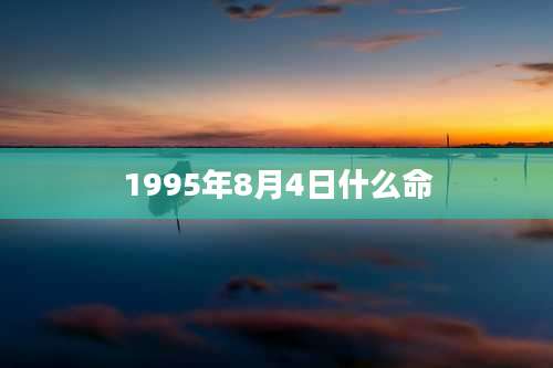 1995年8月4日什么命