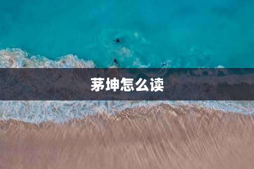 茅坤怎么读