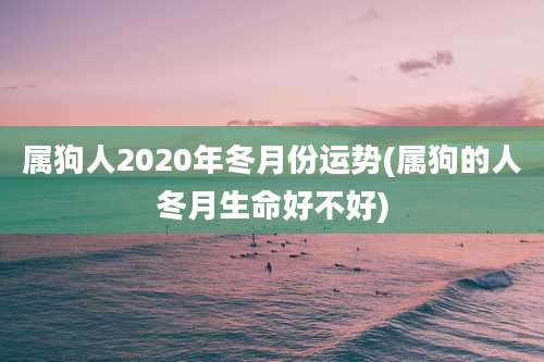 属狗人2020年冬月份运势(属狗的人冬月生命好不好)