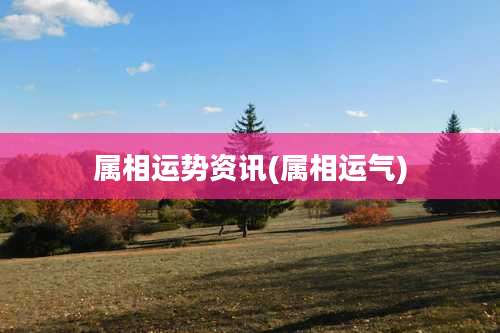 属相运势资讯(属相运气)