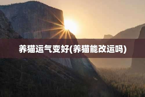 养猫运气变好(养猫能改运吗)