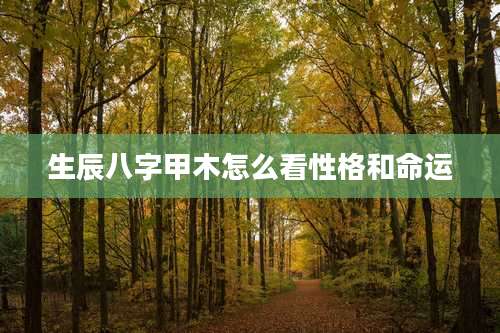 生辰八字甲木怎么看性格和命运