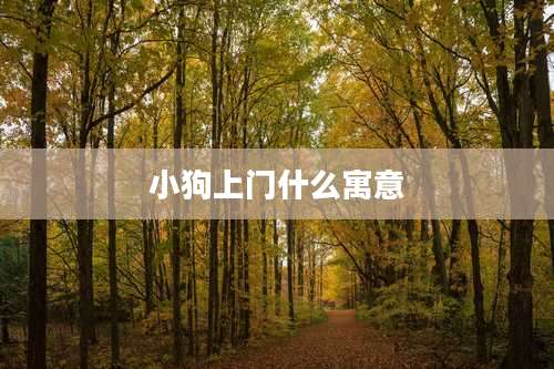 小狗上门什么寓意