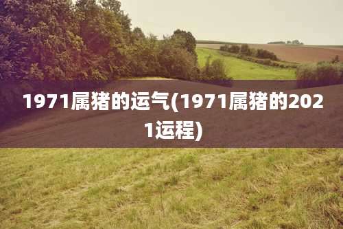 1971属猪的运气(1971属猪的2021运程)