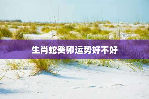 生肖蛇癸卯运势好不好