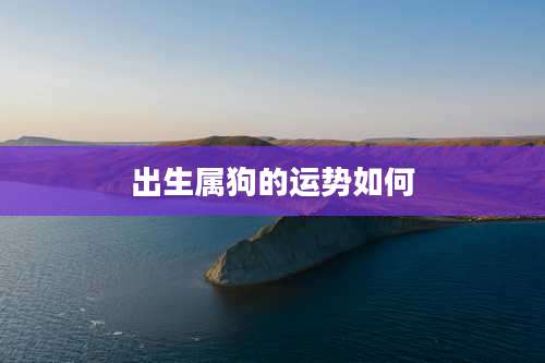 出生属狗的运势如何
