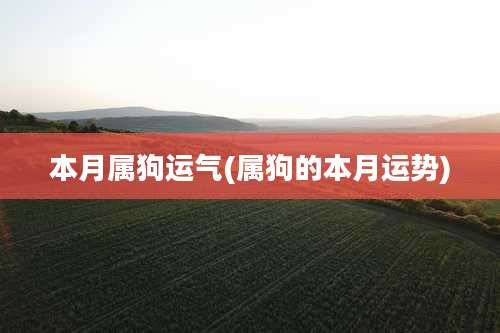 本月属狗运气(属狗的本月运势)