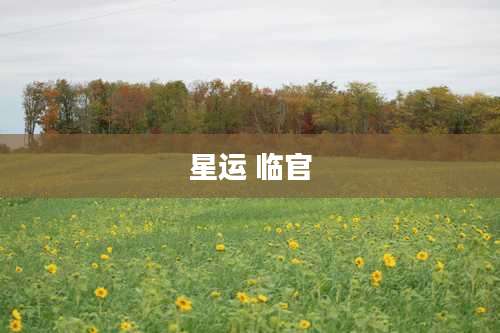 星运 临官