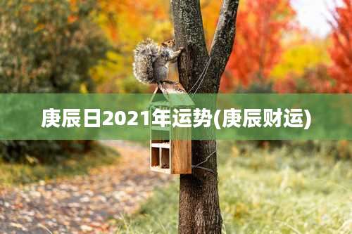 庚辰日2021年运势(庚辰财运)