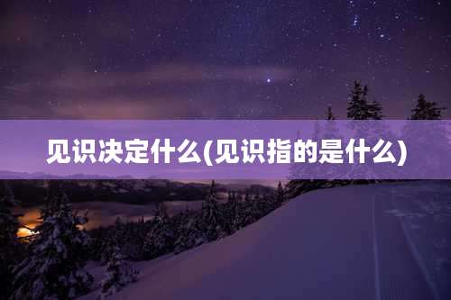 见识决定什么(见识指的是什么)