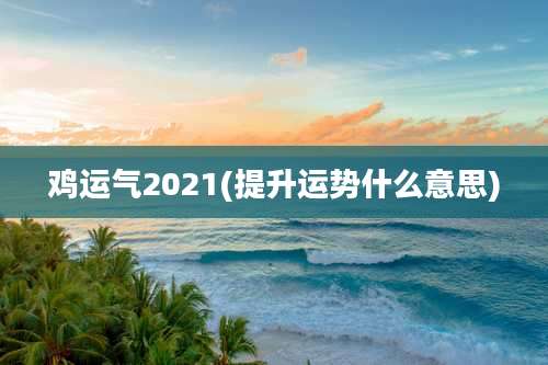 鸡运气2021(提升运势什么意思)