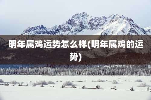 明年属鸡运势怎么样(明年属鸡的运势)