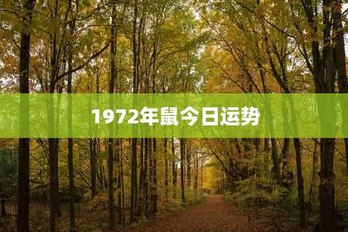 1972年鼠今日运势