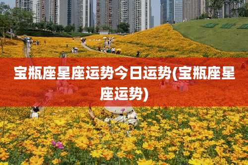 宝瓶座星座运势今日运势(宝瓶座星座运势)