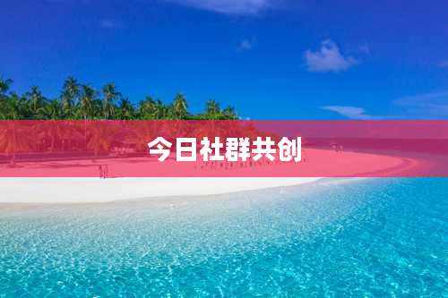 今日社群共创