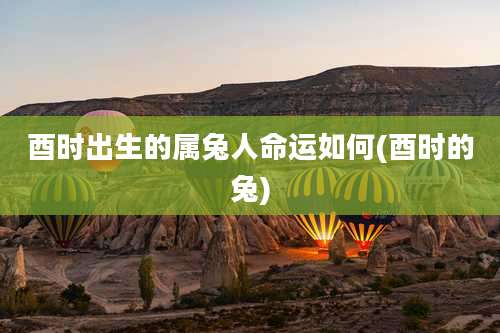 酉时出生的属兔人命运如何(酉时的兔)