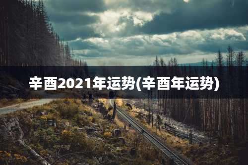 辛酉2021年运势(辛酉年运势)
