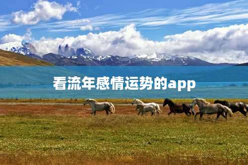 看流年感情运势的app