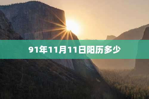 91年11月11日阳历多少
