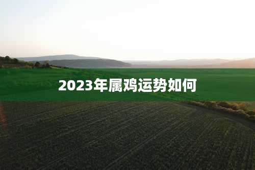 2023年属鸡运势如何