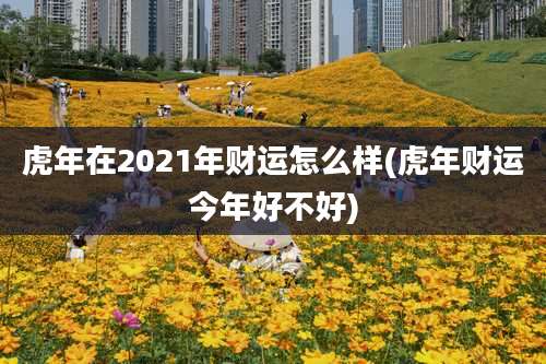 虎年在2021年财运怎么样(虎年财运今年好不好)