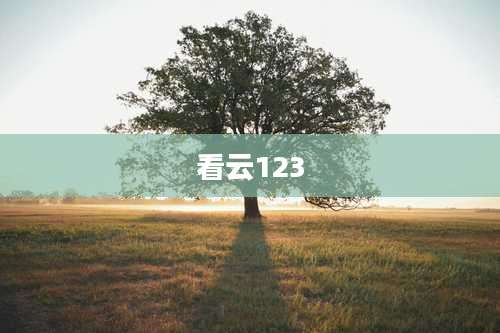 看云123