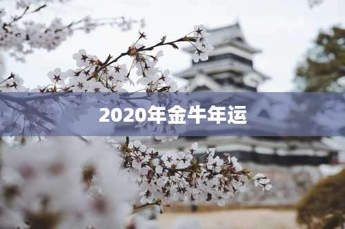 2020年金牛年运
