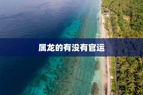 属龙的有没有官运