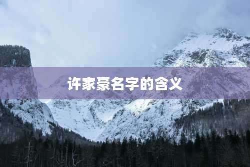许家豪名字的含义